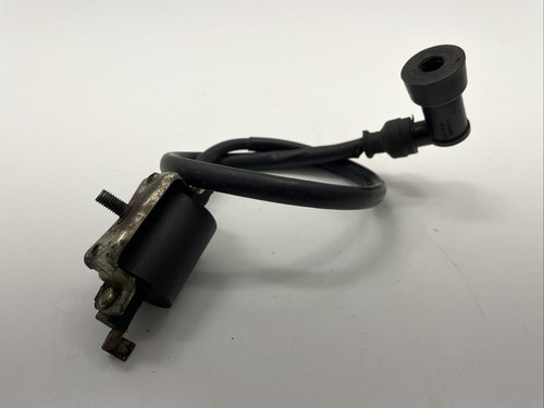 Bobina accensione quad - , apache