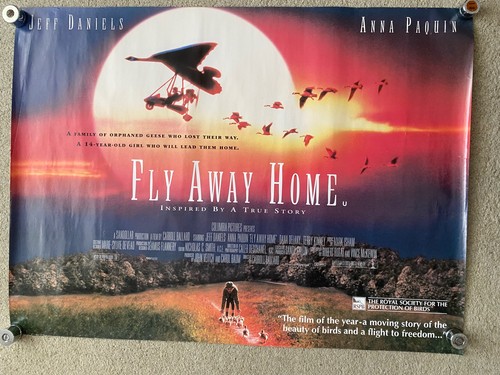 Fly away home original - fly,